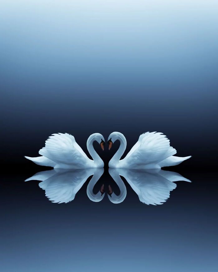 A arte minimalista e mágica de Benjamin Wolf em 35 fotos hipnotizantes 8