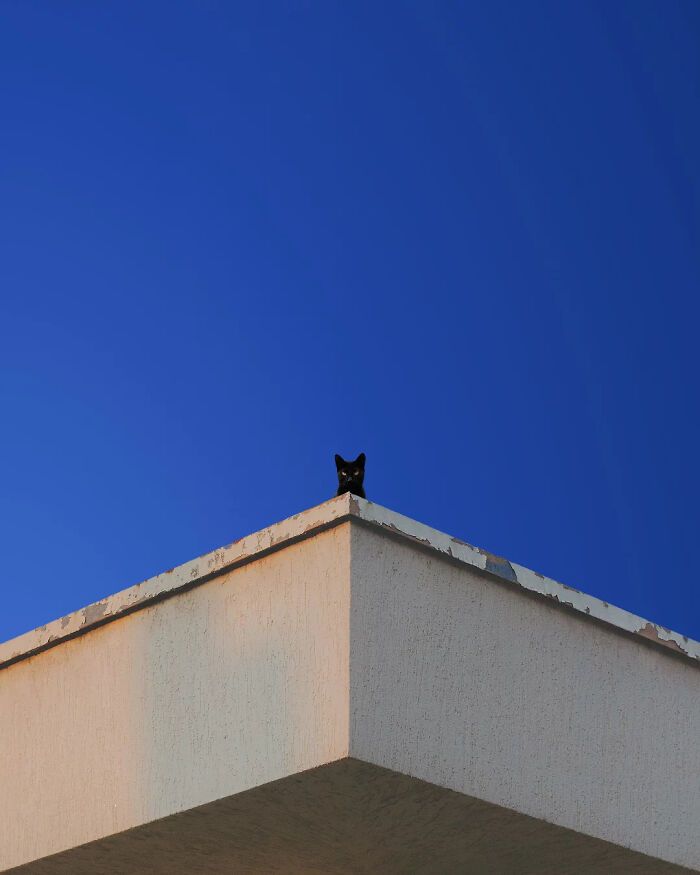 A arte minimalista e mágica de Benjamin Wolf em 35 fotos hipnotizantes 9