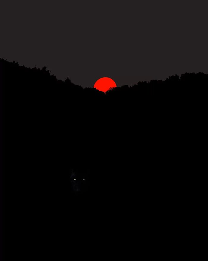 A arte minimalista e mágica de Benjamin Wolf em 35 fotos hipnotizantes 10