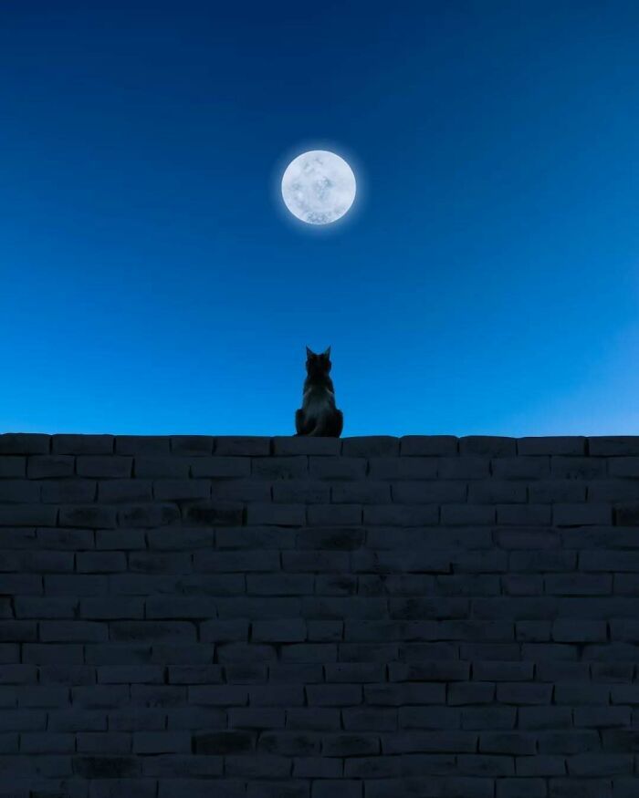 A arte minimalista e mágica de Benjamin Wolf em 35 fotos hipnotizantes 12