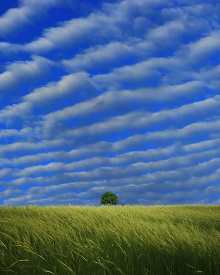 A arte minimalista e mágica de Benjamin Wolf em 35 fotos hipnotizantes 13