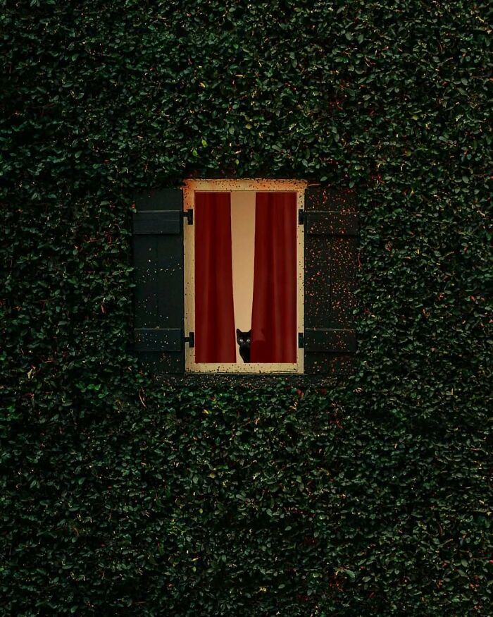 A arte minimalista e mágica de Benjamin Wolf em 35 fotos hipnotizantes 20