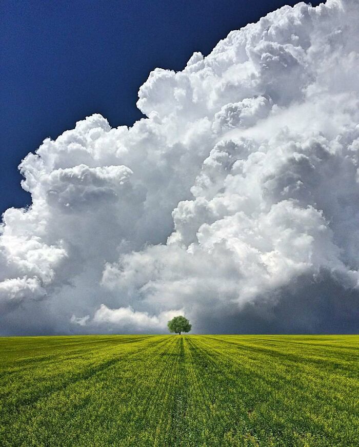 A arte minimalista e mágica de Benjamin Wolf em 35 fotos hipnotizantes 29