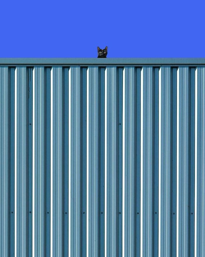 A arte minimalista e mágica de Benjamin Wolf em 35 fotos hipnotizantes 35
