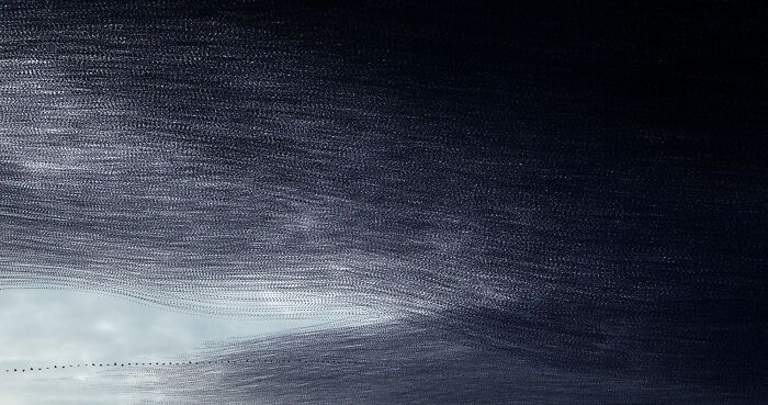 A dança hipnotizante dos estorninhos: Como uma cientista captura esse espetáculo no céu (20 fotos) 9