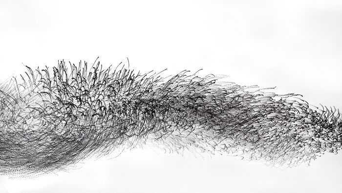 A dança hipnotizante dos estorninhos: Como uma cientista captura esse espetáculo no céu (20 fotos) 12