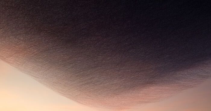 A dança hipnotizante dos estorninhos: Como uma cientista captura esse espetáculo no céu (20 fotos) 14