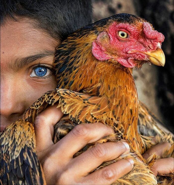 A fotografia encantadora de Guru Charan: Capturando a alma dos animais (30 fotos) 4