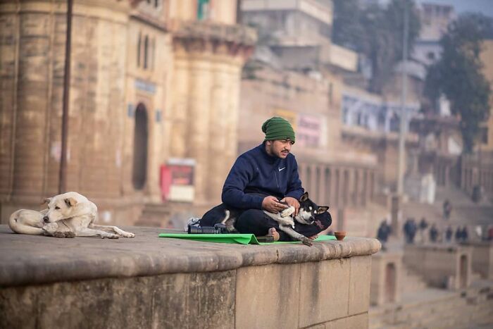 A fotografia encantadora de Guru Charan: Capturando a alma dos animais (30 fotos) 6
