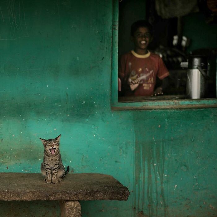 A fotografia encantadora de Guru Charan: Capturando a alma dos animais (30 fotos) 7
