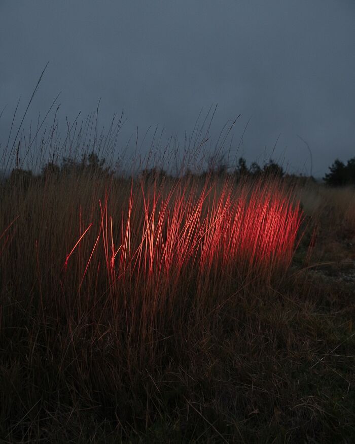 As coincidências surpreendentes capturadas pelas lentes de Denis Cherim (34 fotos) 11