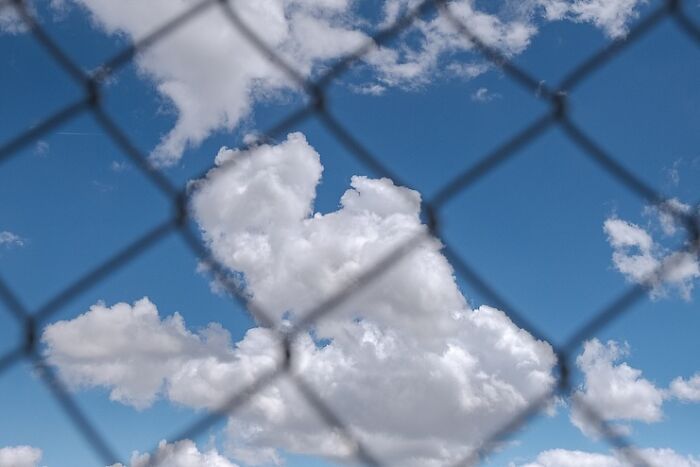 As coincidências surpreendentes capturadas pelas lentes de Denis Cherim (34 fotos) 14