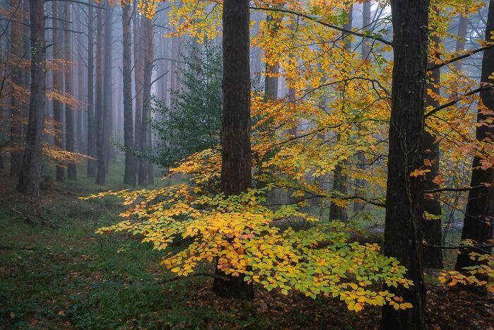 As coincidências surpreendentes capturadas pelas lentes de Denis Cherim (34 fotos) 27