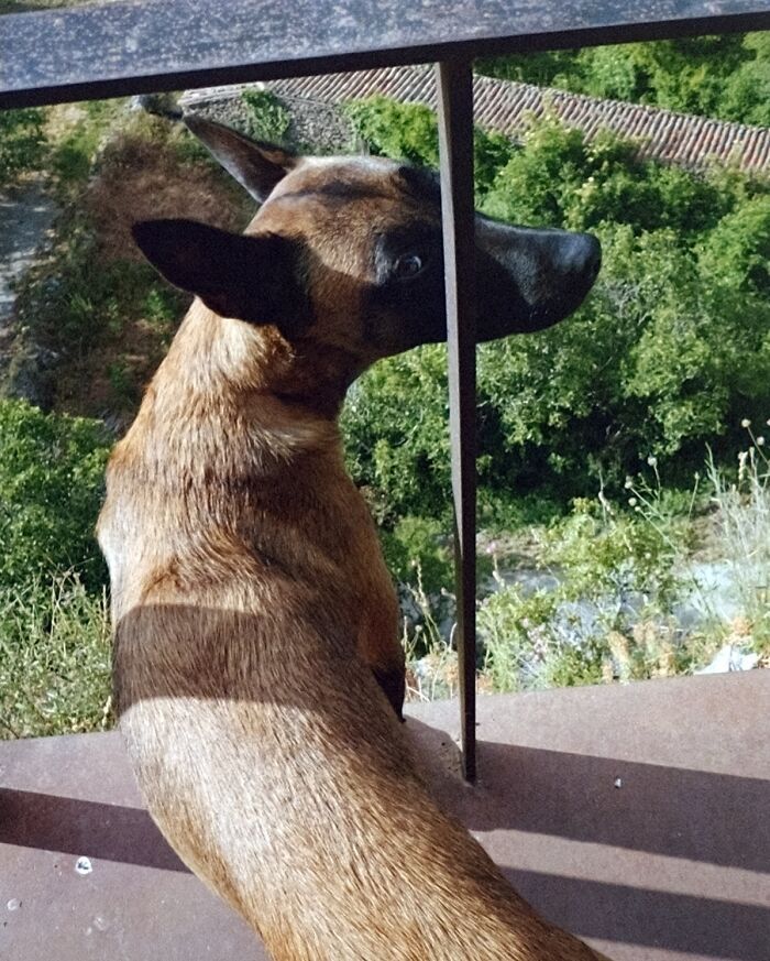 As coincidências surpreendentes capturadas pelas lentes de Denis Cherim (34 fotos) 34