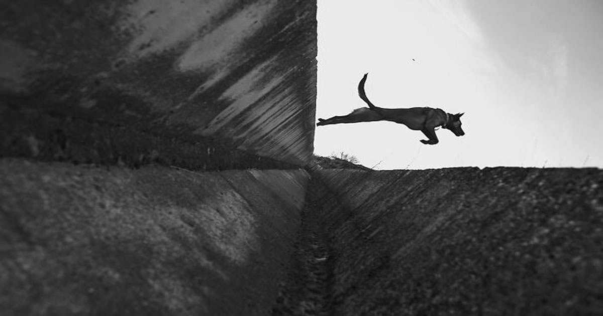 As coincidências surpreendentes capturadas pelas lentes de Denis Cherim (34 fotos)
