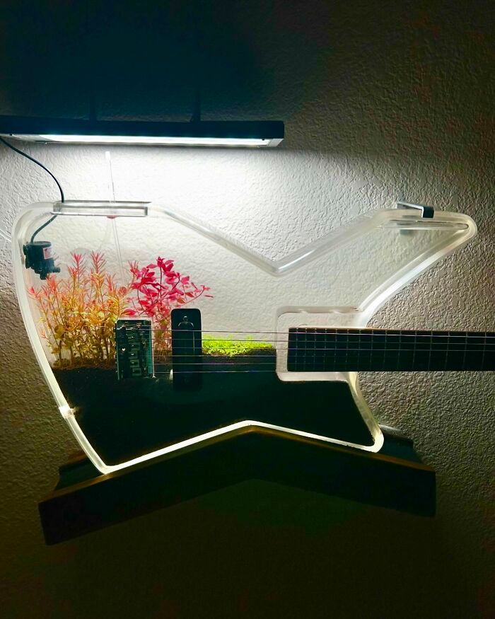 Burls Art: O luthier que transforma materiais inusitados em guitarras extraordinárias (28 fotos) 18