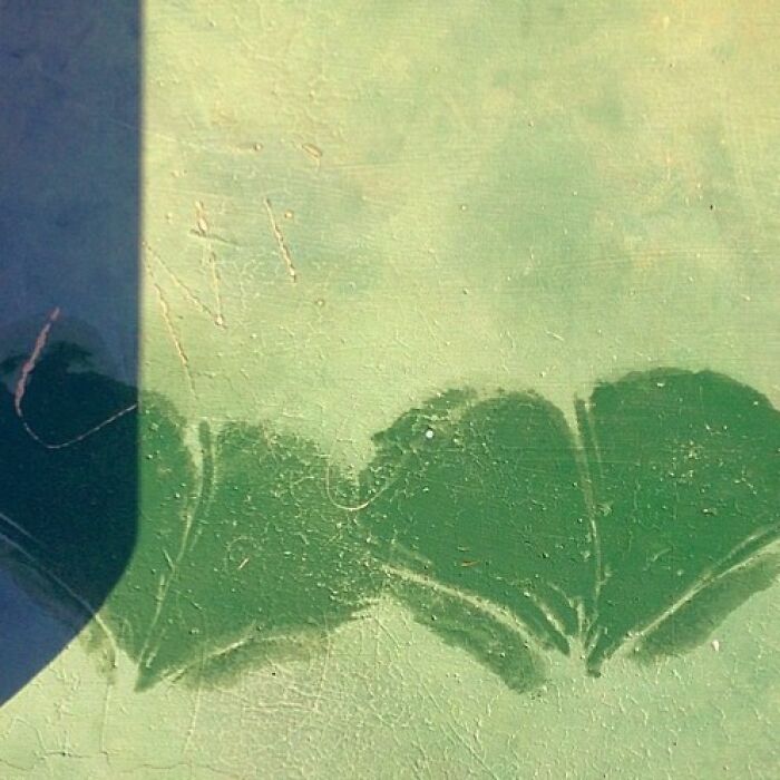 Jose Ruiz González: Capturando a magia nos pequenos momentos (32 fotos) 5