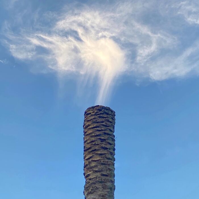 Jose Ruiz González: Capturando a magia nos pequenos momentos (32 fotos) 18