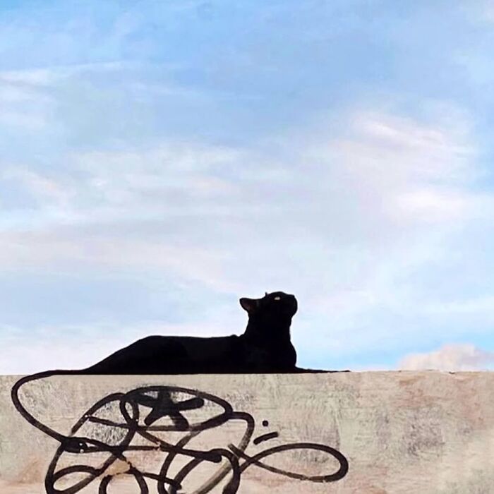 Jose Ruiz González: Capturando a magia nos pequenos momentos (32 fotos) 28