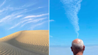 Jose Ruiz González: Capturando a magia nos pequenos momentos (32 fotos) 6