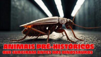 Os 15 animais mais antigos que existiram antes dos Dinossauros e ainda estão entre nós 5