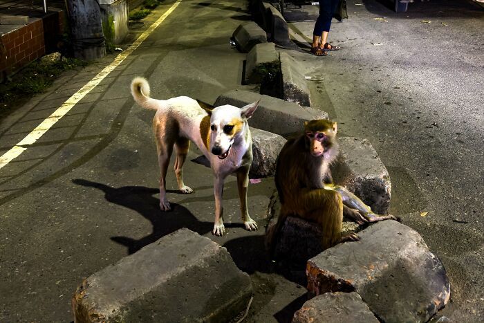 Md Enamul Kabir: A fotografia de rua que captura a alma do cotidiano ( 30 fotos) 13