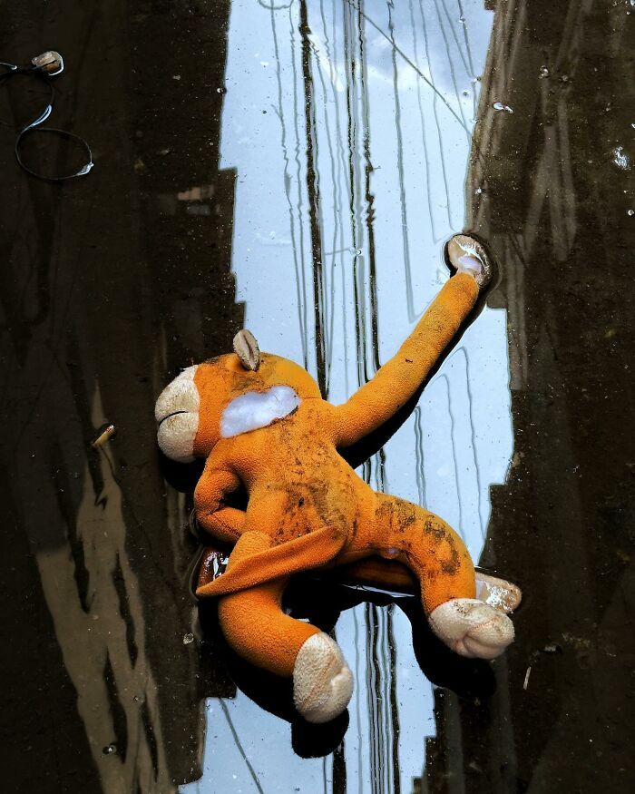 Md Enamul Kabir: A fotografia de rua que captura a alma do cotidiano ( 30 fotos) 22