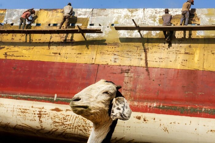 Md Enamul Kabir: A fotografia de rua que captura a alma do cotidiano ( 30 fotos) 30