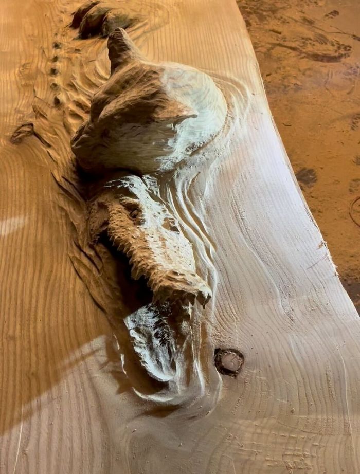 Scott Dow: O artista que transforma troncos em obras-primas com uma motosserra (20 fotos) 5