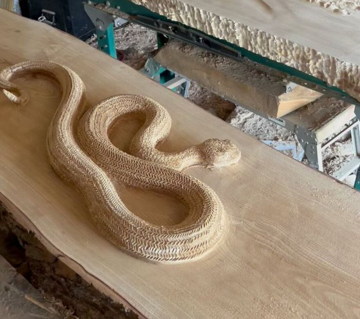 Scott Dow: O artista que transforma troncos em obras-primas com uma motosserra (20 fotos) 7