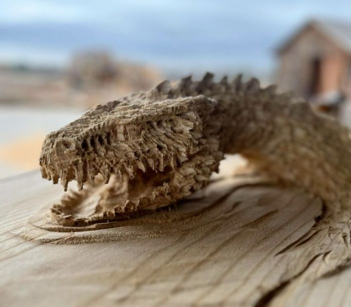 Scott Dow: O artista que transforma troncos em obras-primas com uma motosserra (20 fotos) 10