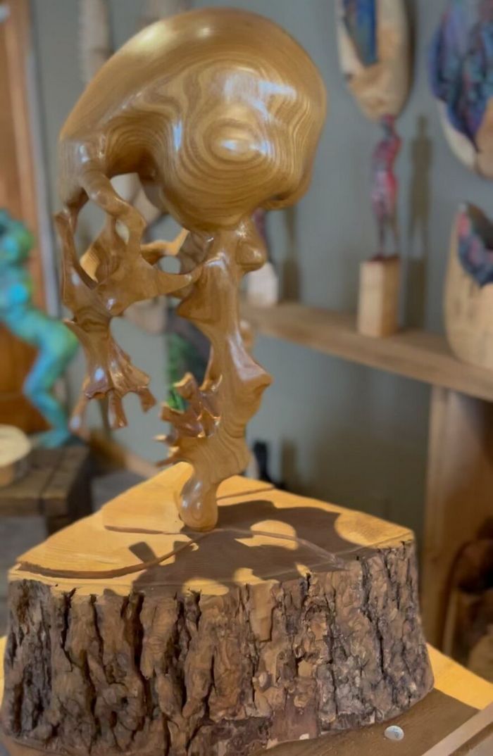 Scott Dow: O artista que transforma troncos em obras-primas com uma motosserra (20 fotos) 12