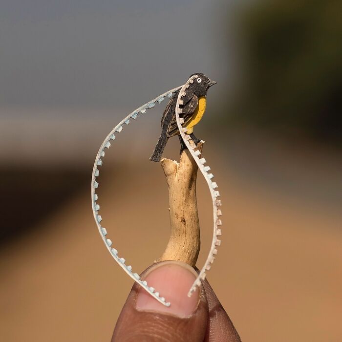 The Paper Ark: Arte em papel que celebra a fragilidade da vida selvagem (32 fotos) 21