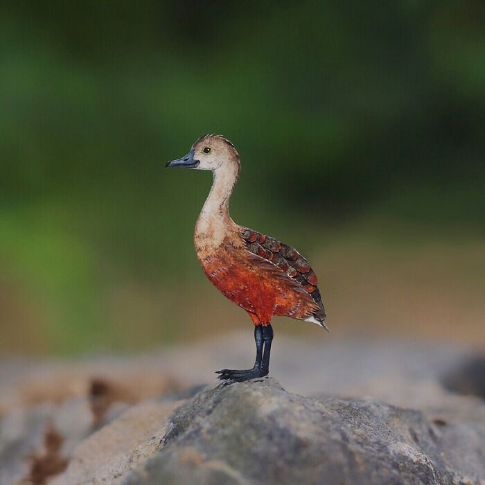 The Paper Ark: Arte em papel que celebra a fragilidade da vida selvagem (32 fotos) 22