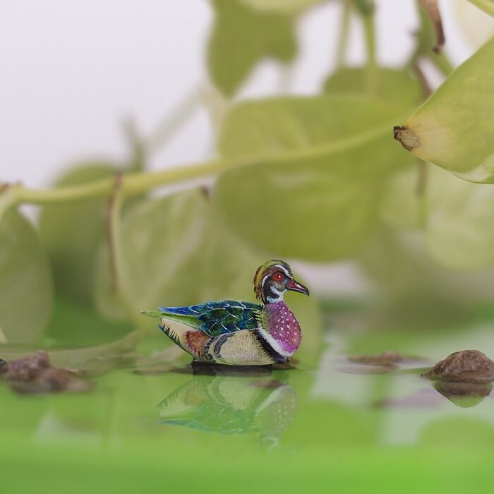 The Paper Ark: Arte em papel que celebra a fragilidade da vida selvagem (32 fotos) 25