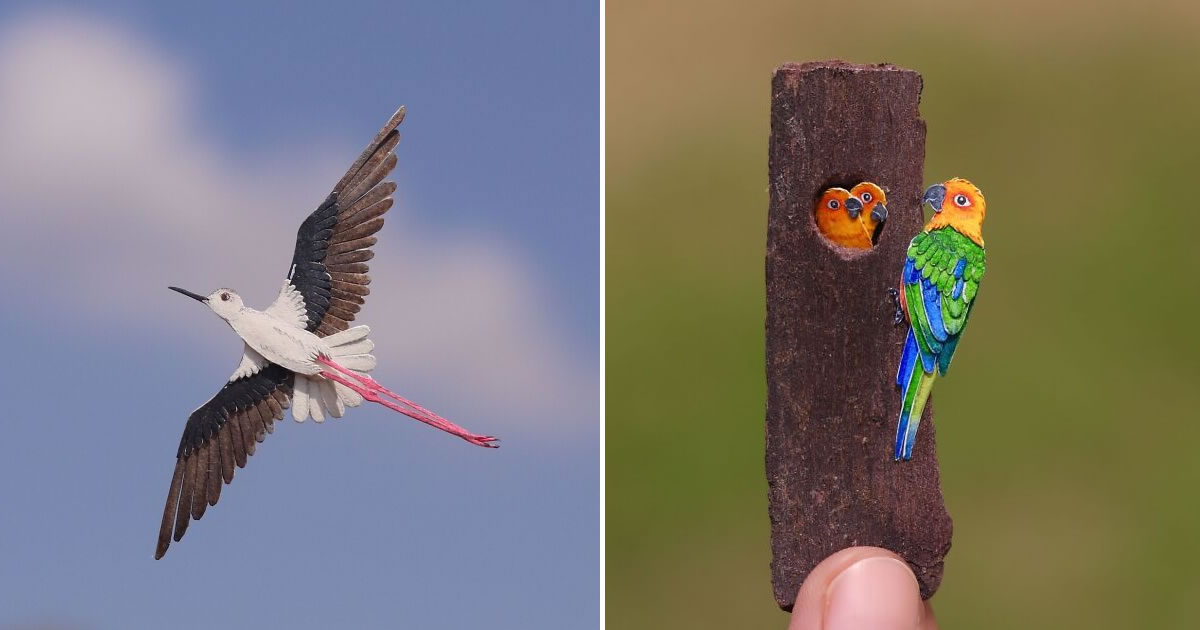 The Paper Ark: Arte em papel que celebra a fragilidade da vida selvagem (32 fotos)