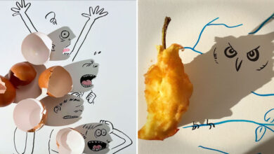 Vincent Bal e a mágica das sombras: Como a procrastinação criou uma nova arte (23 fotos) 24