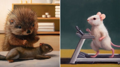 A arte divertida e surpreendente de Lucia Heffernan: Quando os animais agem como humanos (30 fotos) 4