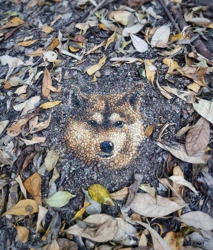 A arte efêmera de Justin Bateman: Mosaicos de pedra que contam histórias (32 fotos) 1