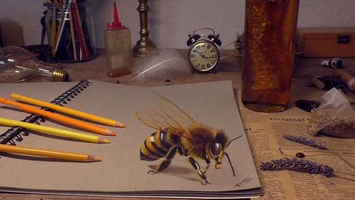 O incrível mundo dos desenhos 3D de Stefan Pabst (22 fotos) 7