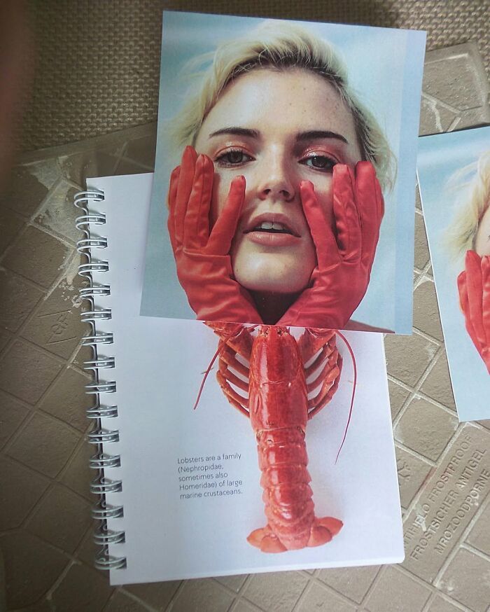 O poder da criatividade: Como Dudi Ben Simon transforma o comum em arte (32 fotos) 10