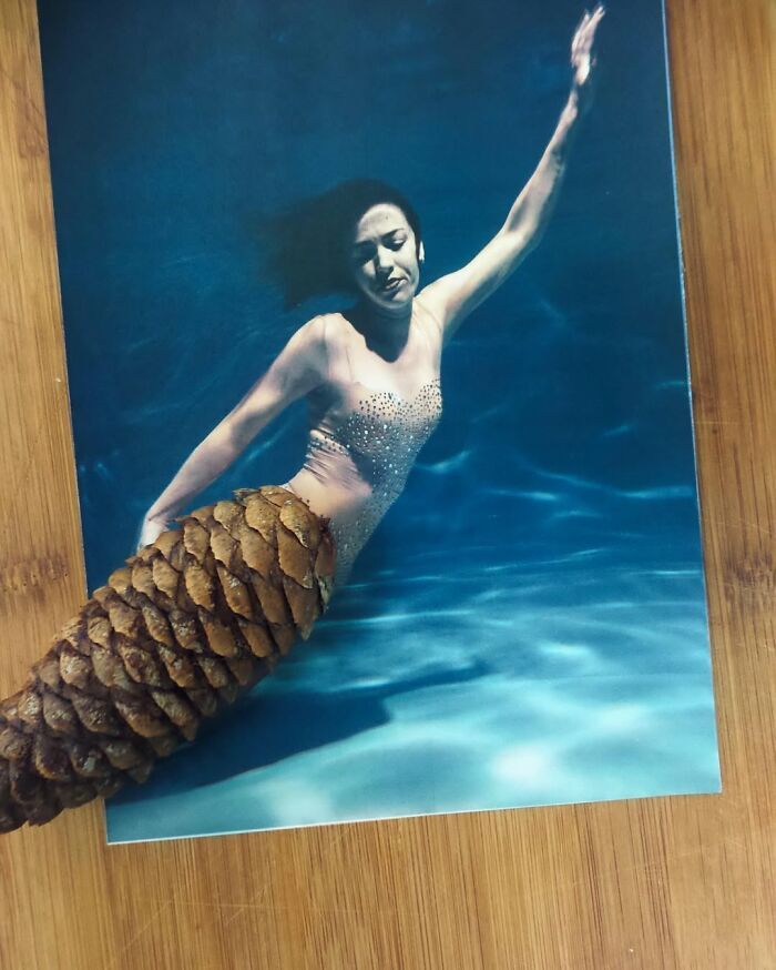 O poder da criatividade: Como Dudi Ben Simon transforma o comum em arte (32 fotos) 16