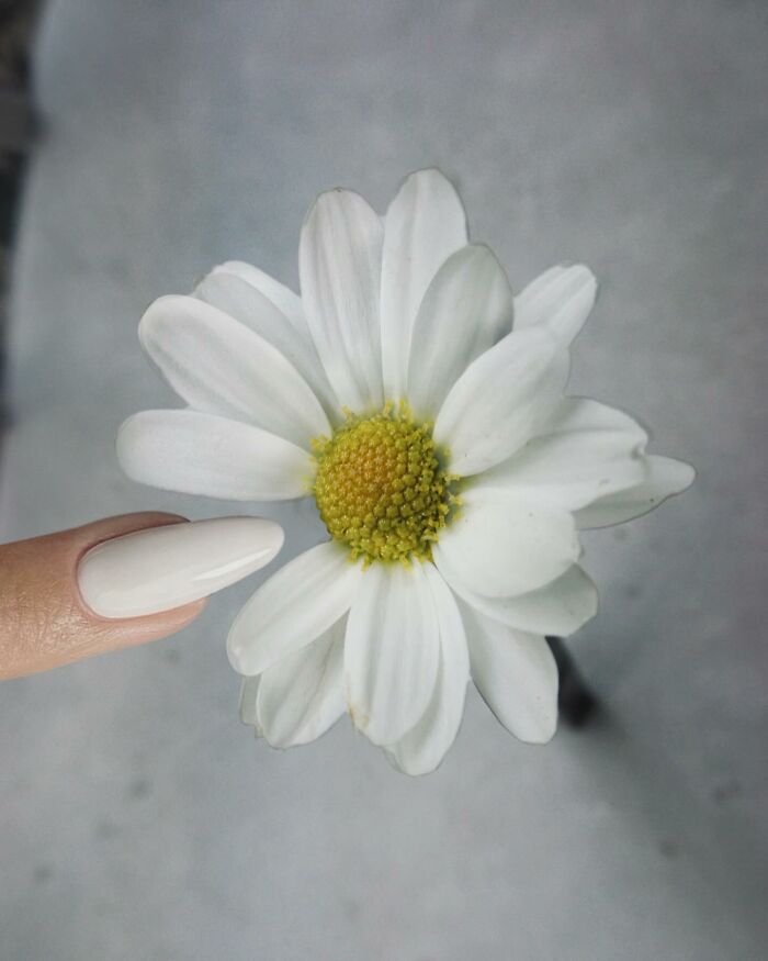 O poder da criatividade: Como Dudi Ben Simon transforma o comum em arte (32 fotos) 18