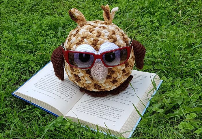 Porta-Óculos de Crochê: Criatividade e funcionalidade em cada ponto (15 fotos) 3