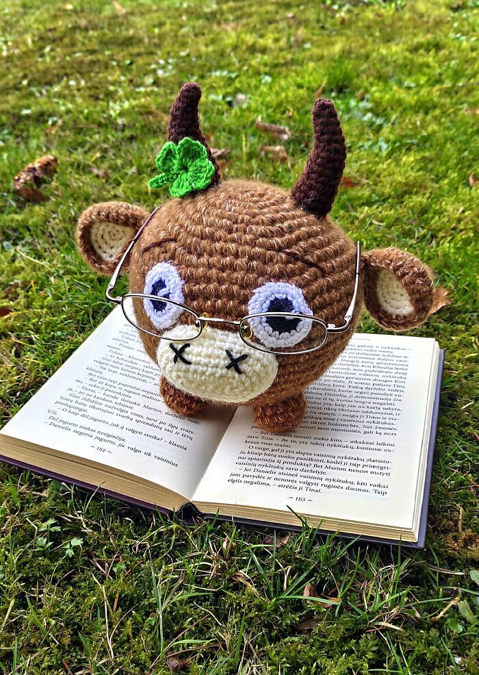 Porta-Óculos de Crochê: Criatividade e funcionalidade em cada ponto (15 fotos) 8