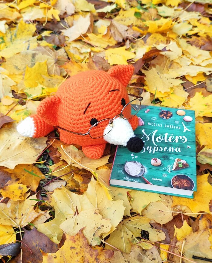 Porta-Óculos de Crochê: Criatividade e funcionalidade em cada ponto (15 fotos) 10