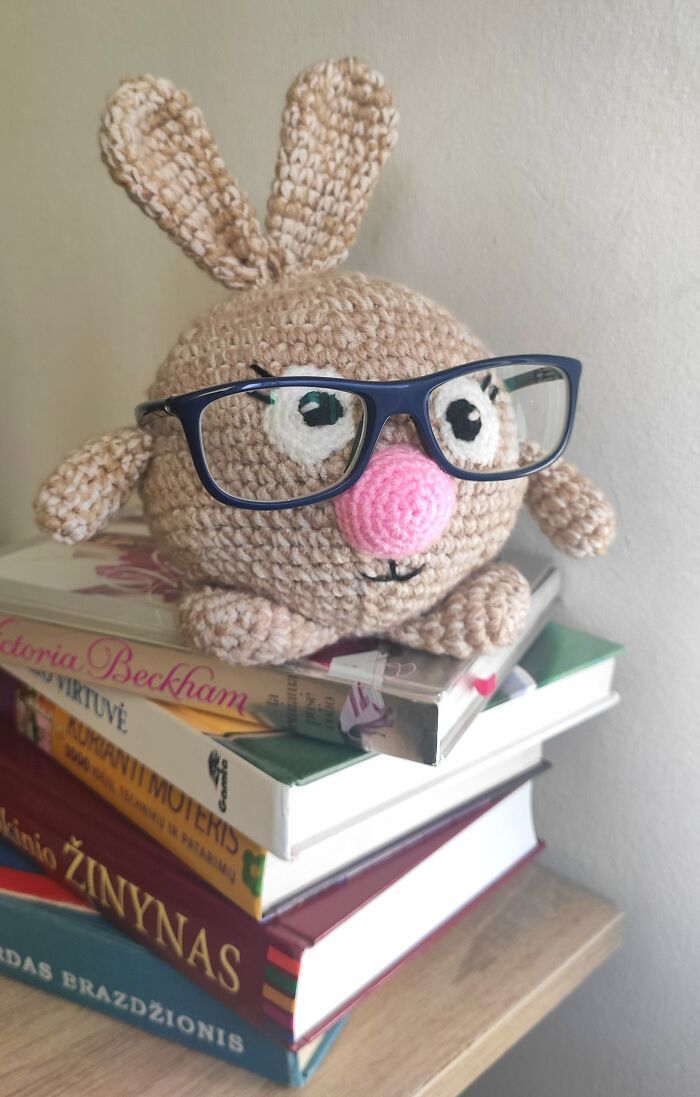 Porta-Óculos de Crochê: Criatividade e funcionalidade em cada ponto (15 fotos) 12