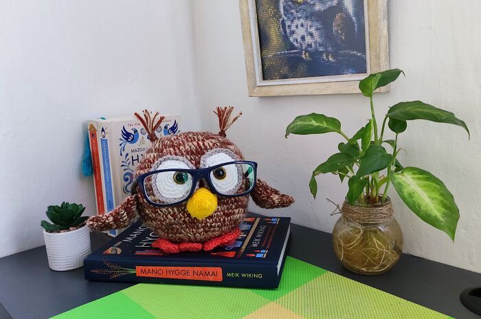 Porta-Óculos de Crochê: Criatividade e funcionalidade em cada ponto (15 fotos) 13