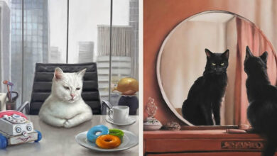 Richard Ahnert: Quando o mundo animal reflete a vida humana (35 fotos) 7
