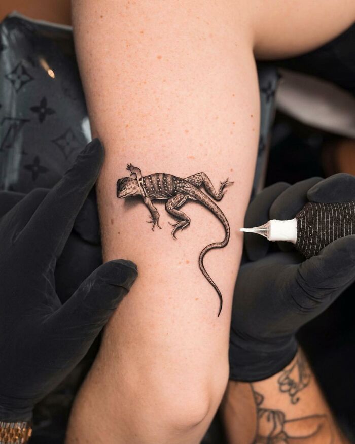 Tatu Panda: O mestre dos micro-tatuagens realistas em Miami (25 fotos) 5